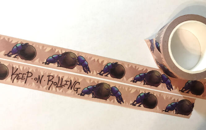Dung Beetle Washi